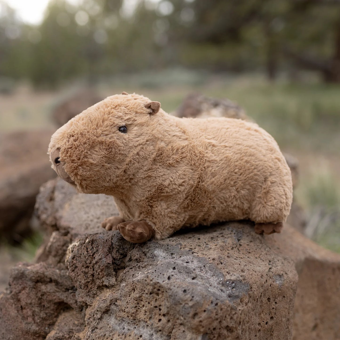 Jumbo Capybara SnugglePal