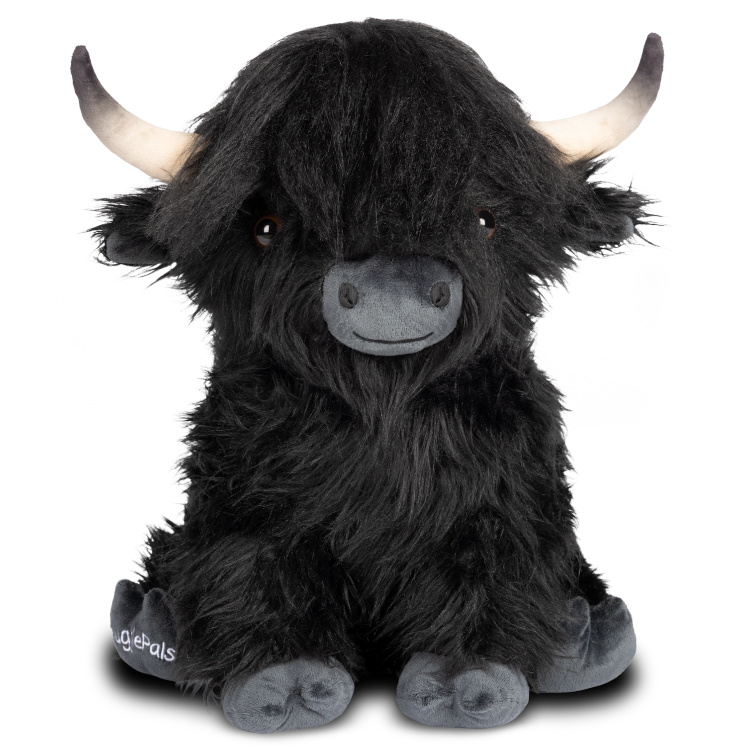 highland cow with funny hairstyle