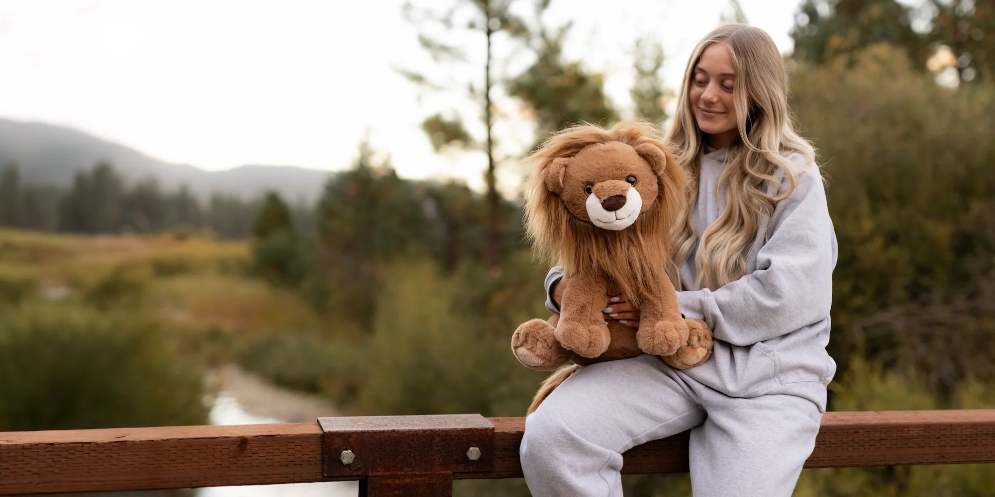 Bundle desktop image