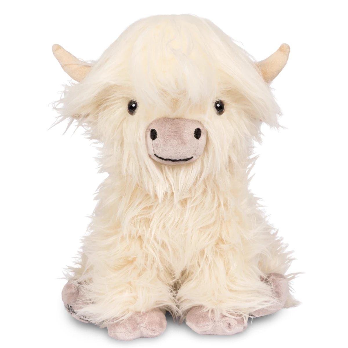 highland cow with funny hairstyle