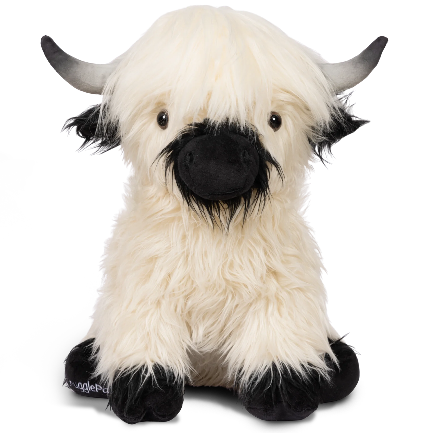 highland cow with funny hairstyle