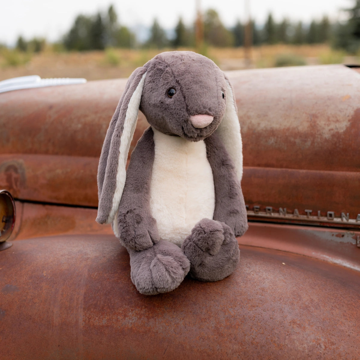 Jumbo Grey & White Bunny