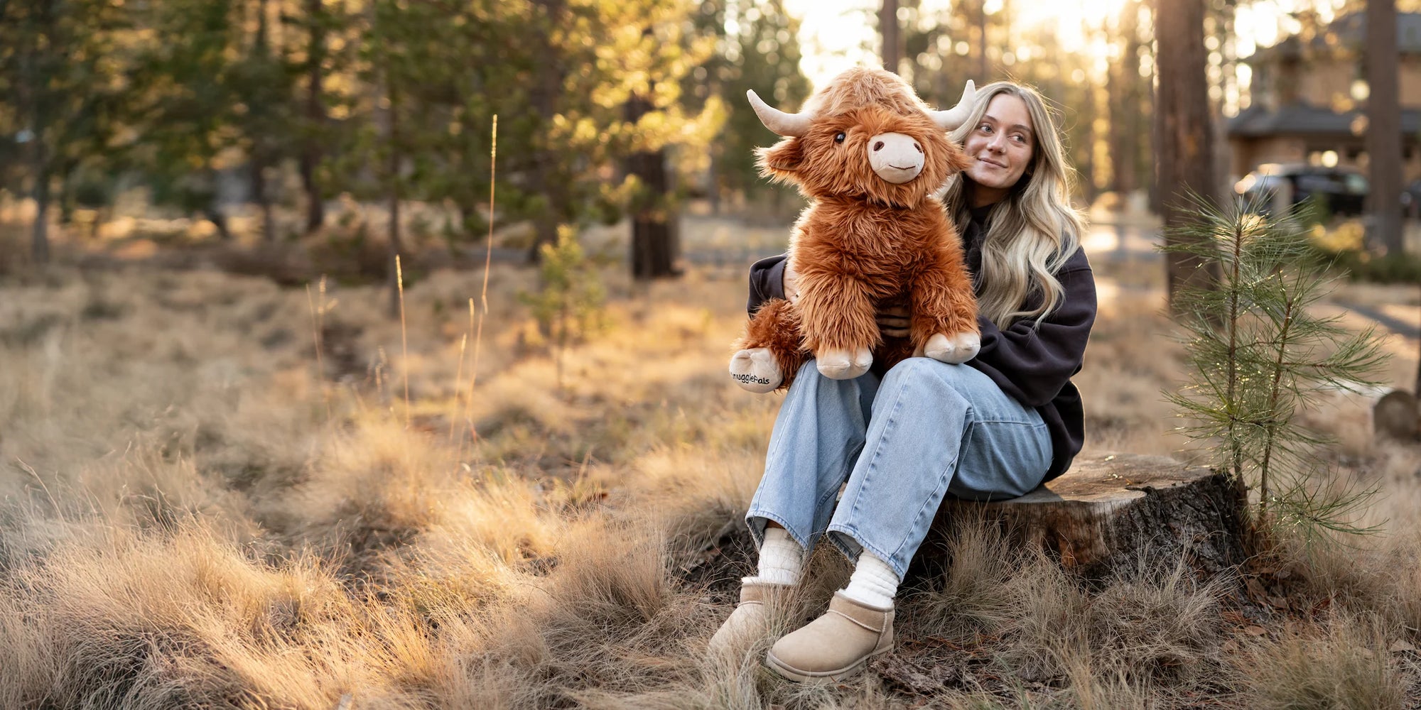 Bundle desktop image