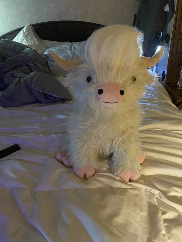 Review photo from Jaime