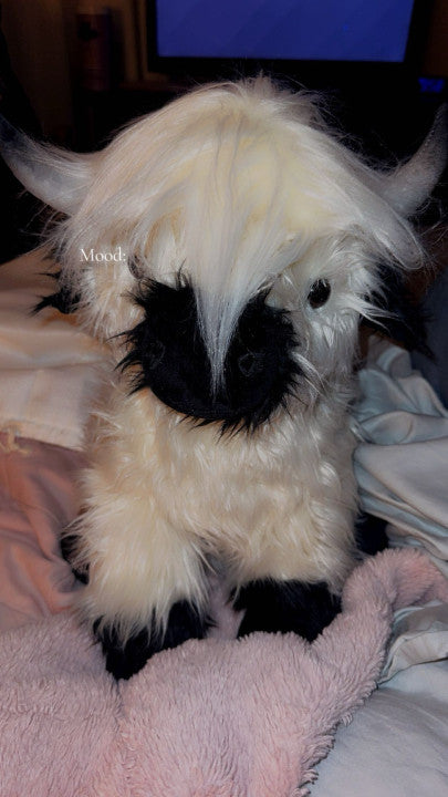 Review photo from Jessica