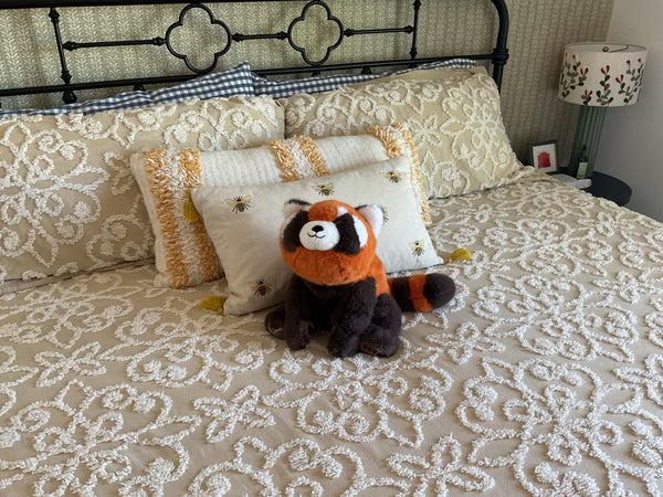 Review photo from Susan Gajewski 