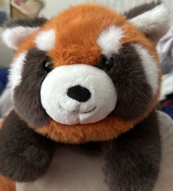 Review photo from Jojo