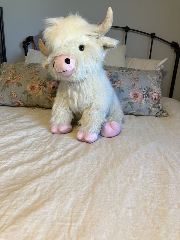Review photo from Sue Herynk